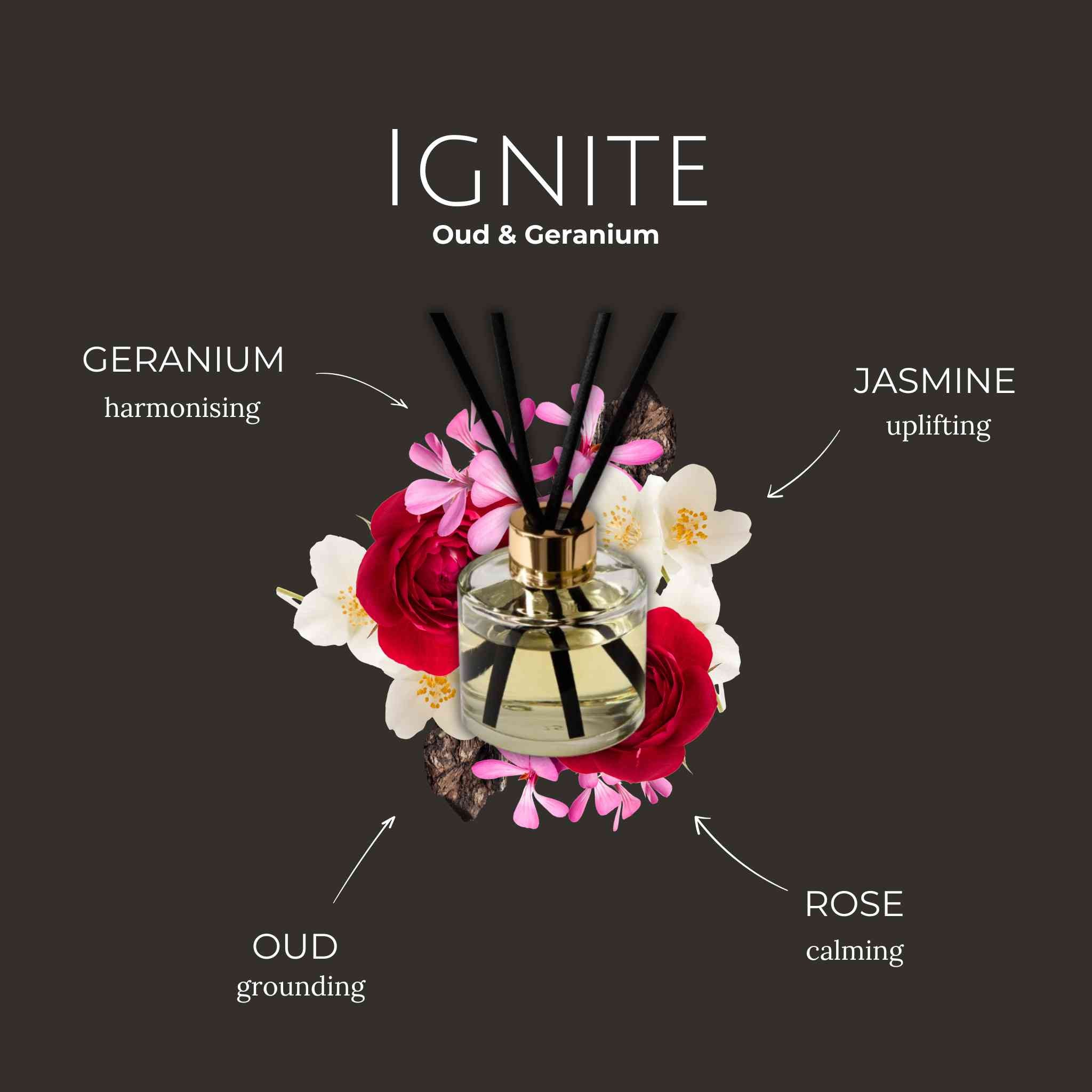 ignite reed diffuser 100ml ingredients