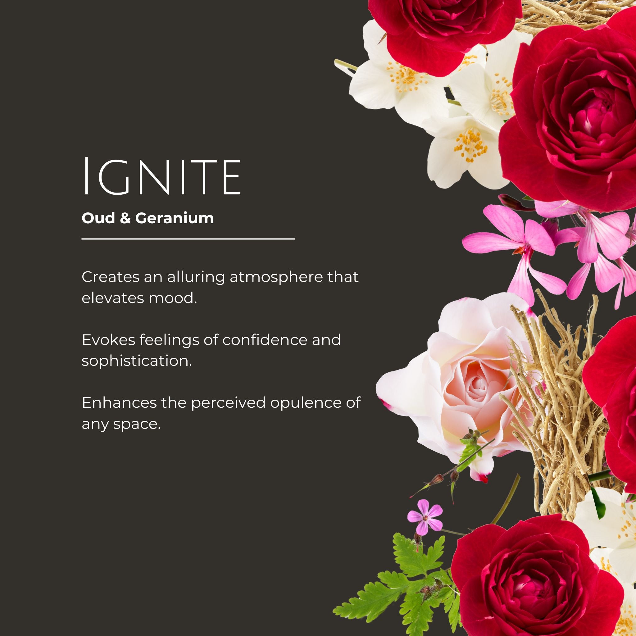 Ignite Luxury Room Mist