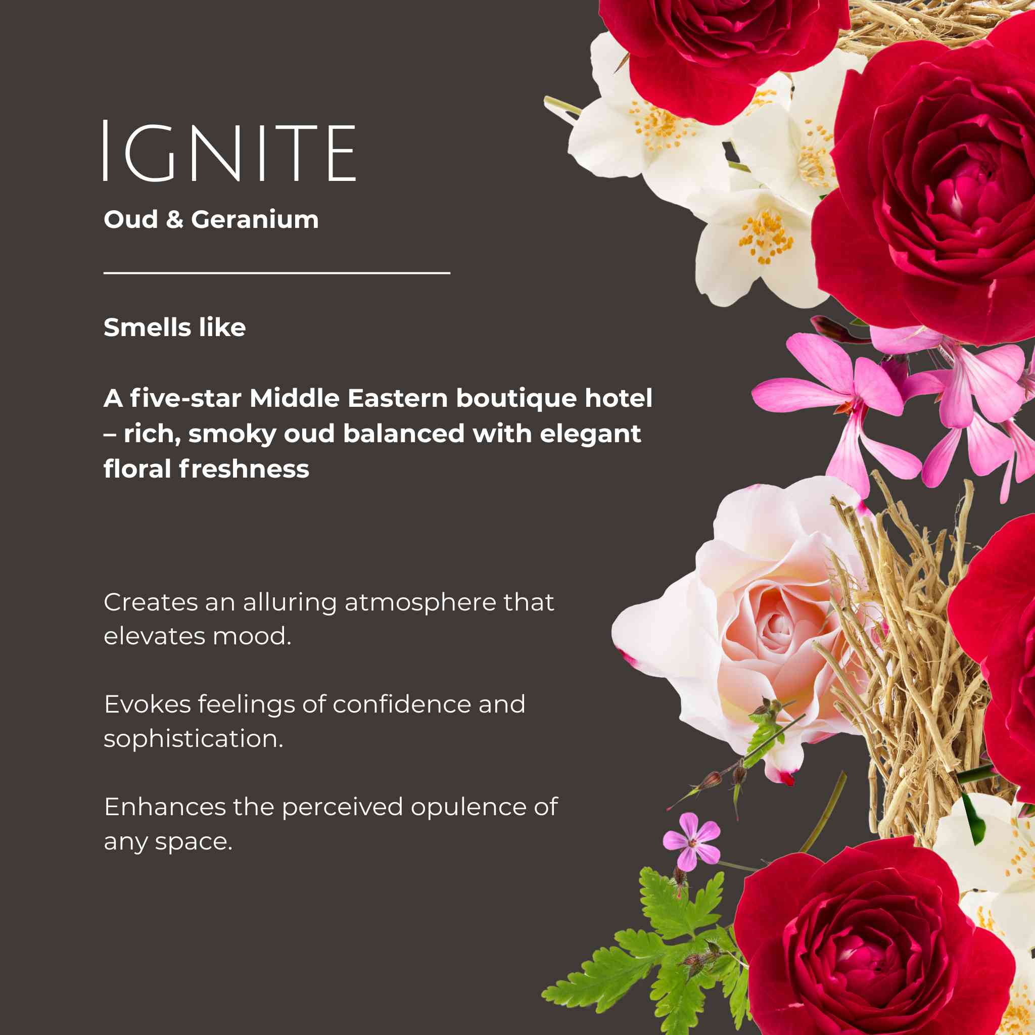 luxury ignite reed diffuser