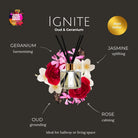 day night reed diffuser bundle ignite ingredients 