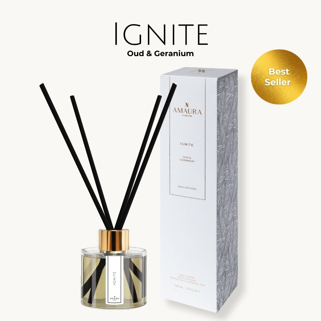 day night reed diffuser bundle with ignite